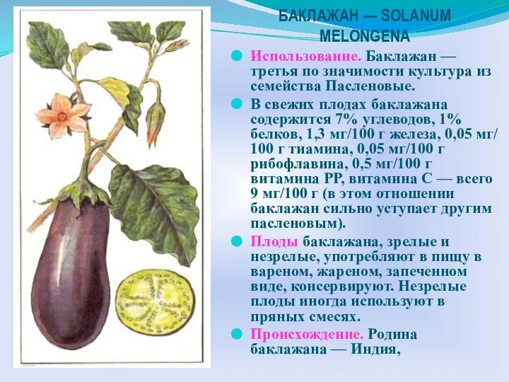 БАКЛАЖАН — SOLANUM MELONGENA Использование. Баклажан — третья по значимости культура