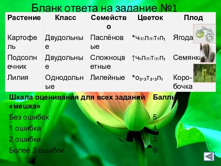 Бланк ответа на задание №1