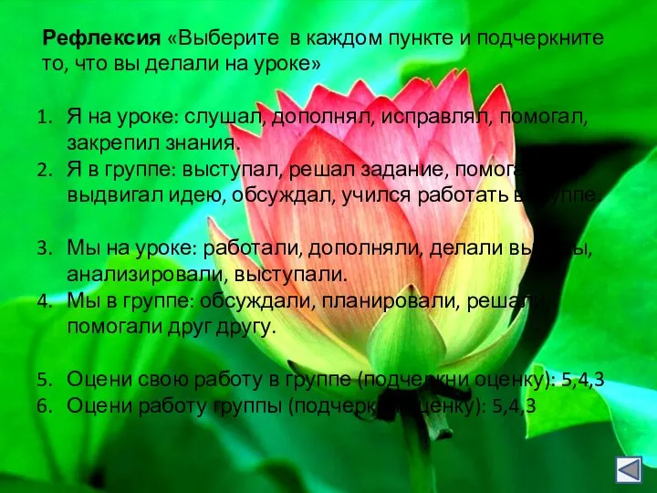 Рефлексия «Выберите в каждом пункте и подчеркните то, что вы делали