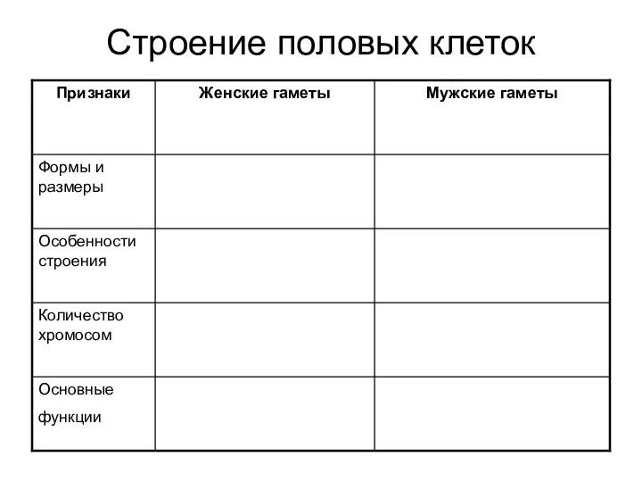 Строение половых клеток