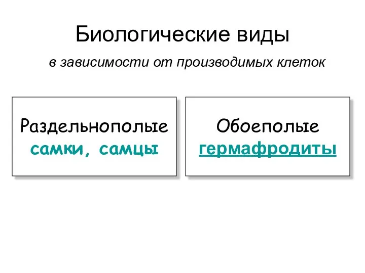 Биологические виды в зависимости от производимых клеток Раздельнополые самки, самцы Обоеполые гермафродиты