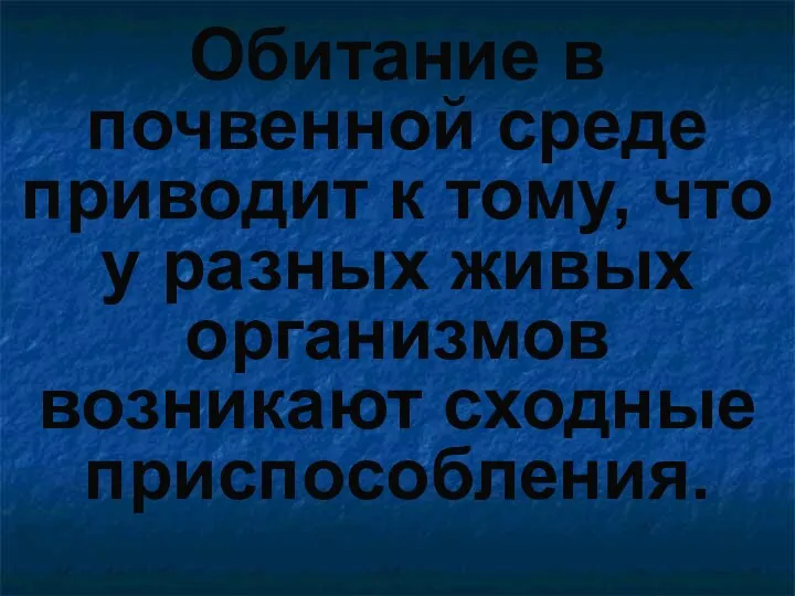 Обитание в почвенной среде приводит к тому, что у разных живых организмов возникают сходные приспособления.