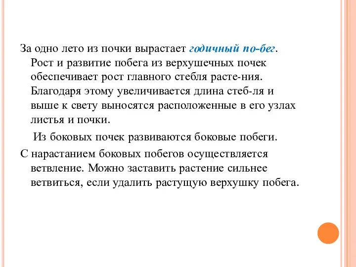 За одно лето из почки вырастает годичный по-бег. Рост и развитие