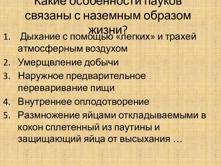 Какие особенности пауков связаны с наземным образом жизни? Дыхание с помощью