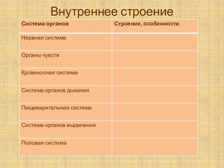 Внутреннее строение