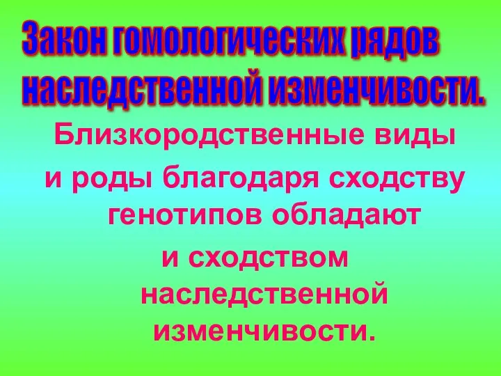 Близкородственные виды и роды благодаря сходству генотипов обладают и сходством наследственной