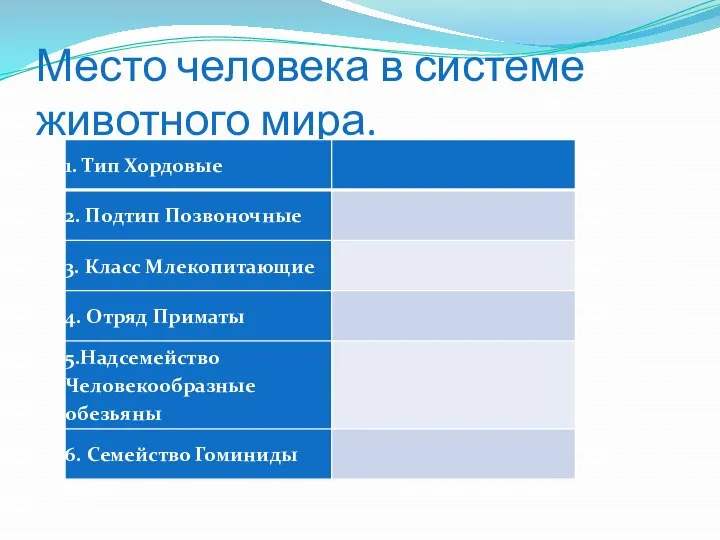 Место человека в системе животного мира.