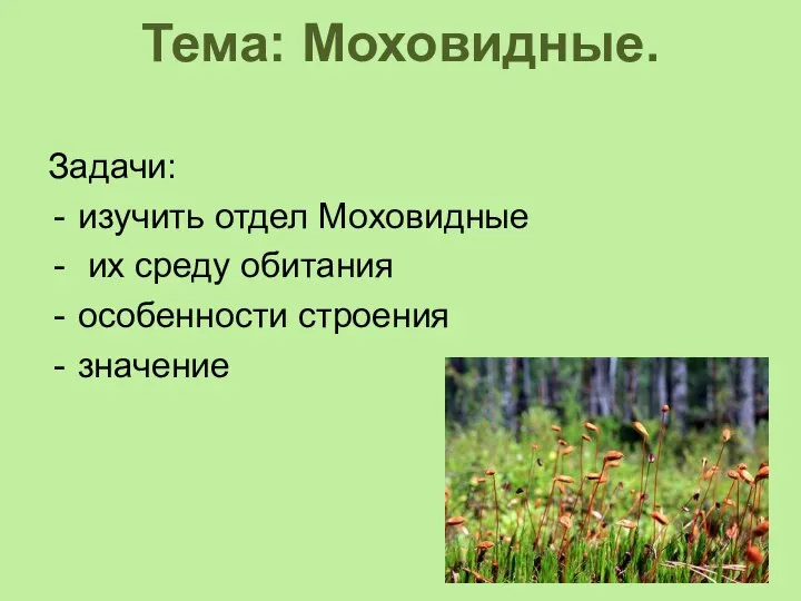 Тема: Моховидные. Задачи: изучить отдел Моховидные их среду обитания особенности строения значение