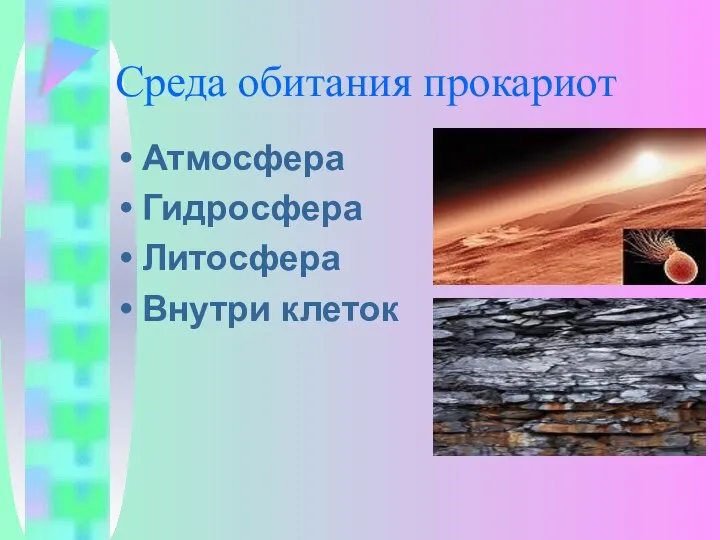 Среда обитания прокариот Атмосфера Гидросфера Литосфера Внутри клеток