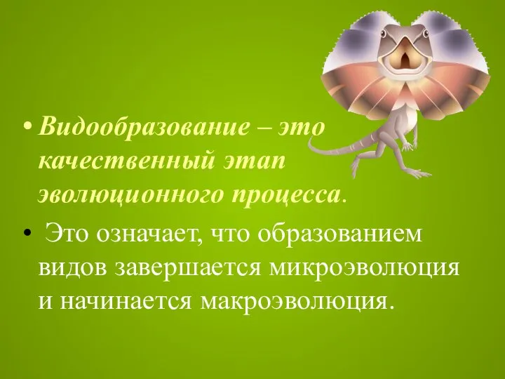 Видообразование – это качественный этап эволюционного процесса. Это означает, что образованием