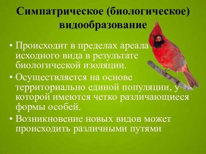 Симпатрическое (биологическое) видообразование Происходит в пределах ареала исходного вида в результате