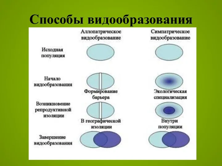 Способы видообразования