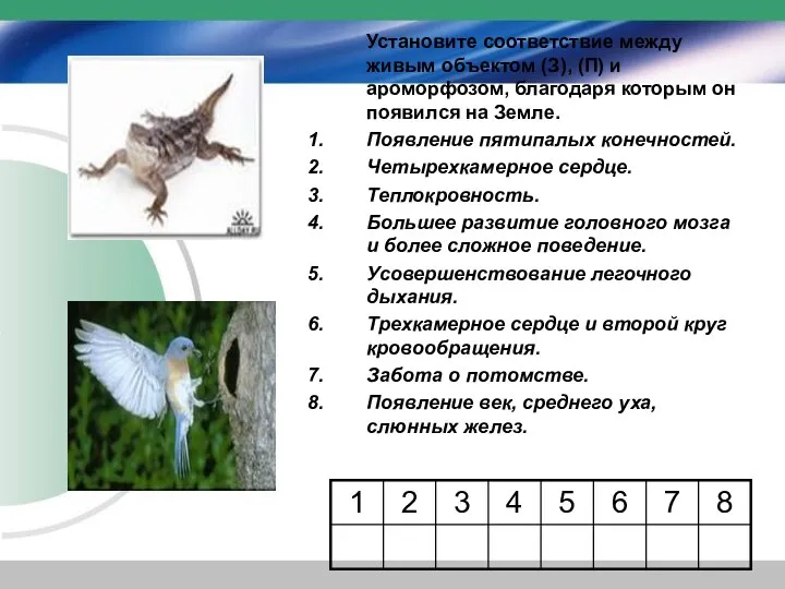 Установите соответствие между живым объектом (З), (П) и ароморфозом, благодаря которым