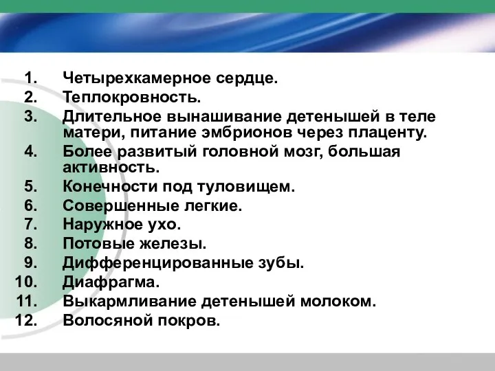 Четырехкамерное сердце. Теплокровность. Длительное вынашивание детенышей в теле матери, питание эмбрионов