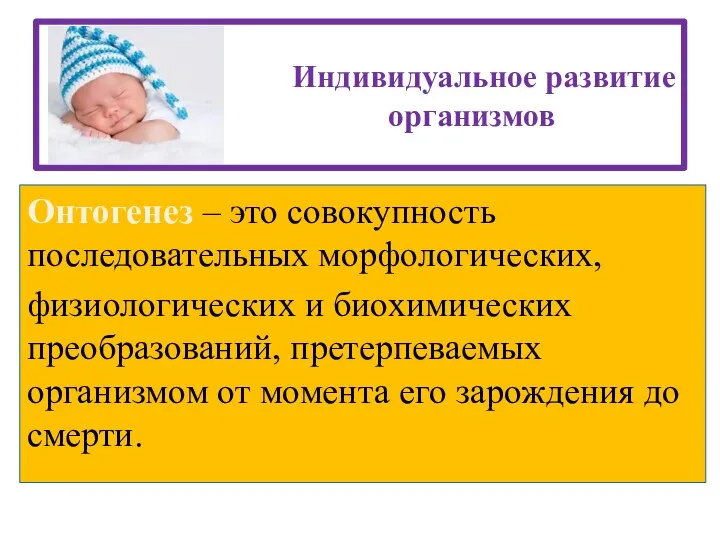 Индивидуальное развитие организмов Онтогенез – это совокупность последовательных морфологических, физиологических и