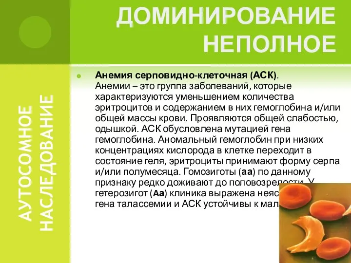 АУТОСОМНОЕ НАСЛЕДОВАНИЕ Анемия серповидно-клеточная (АСК). Анемии – это группа заболеваний, которые