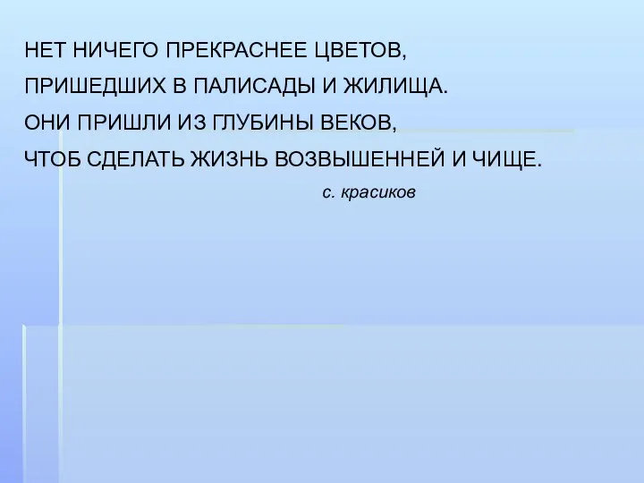 НЕТ НИЧЕГО ПРЕКРАСНЕЕ ЦВЕТОВ, ПРИШЕДШИХ В ПАЛИСАДЫ И ЖИЛИЩА. ОНИ ПРИШЛИ