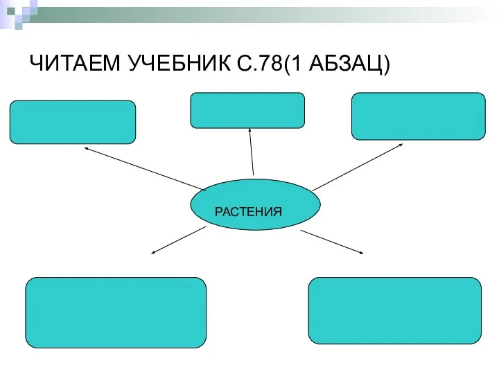 ЧИТАЕМ УЧЕБНИК С.78(1 АБЗАЦ) РАСТЕНИЯ