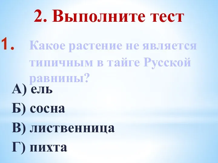 Какое растение не является типичным в тайге Русской равнины? А) ель