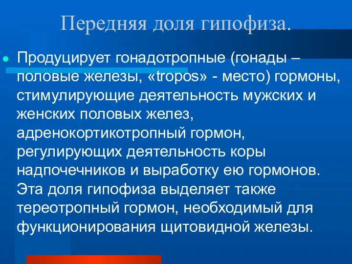 Передняя доля гипофиза. Продуцирует гонадотропные (гонады – половые железы, «tropos» -