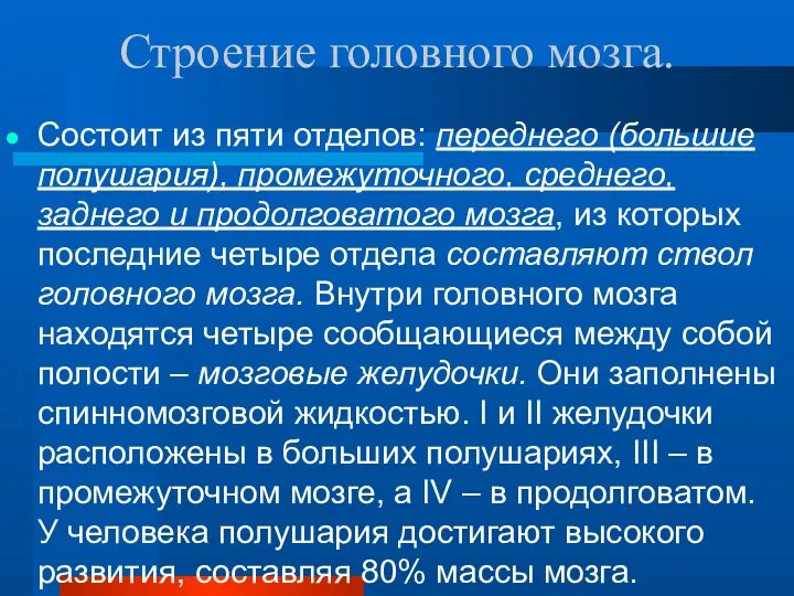 Строение головного мозга. Состоит из пяти отделов: переднего (большие полушария), промежуточного,