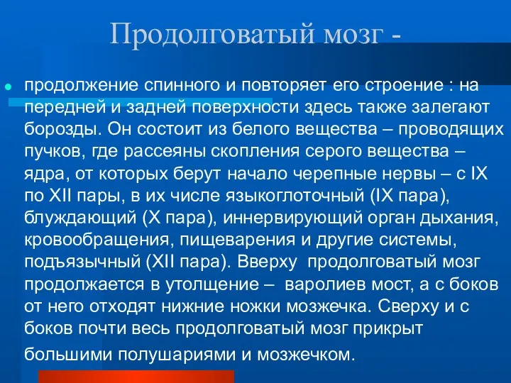 Продолговатый мозг - продолжение спинного и повторяет его строение : на