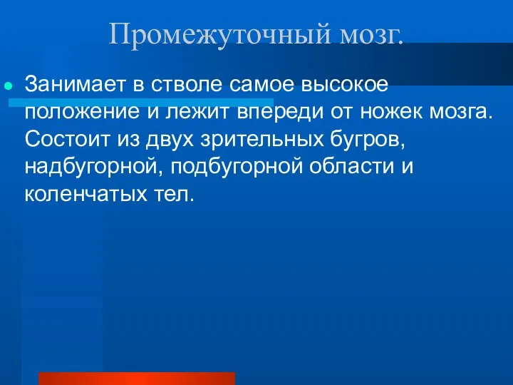 Промежуточный мозг. Занимает в стволе самое высокое положение и лежит впереди