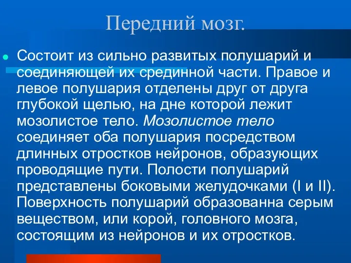 Передний мозг. Состоит из сильно развитых полушарий и соединяющей их срединной