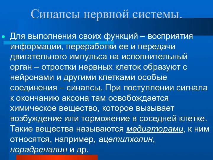 Синапсы нервной системы. Для выполнения своих функций – восприятия информации, переработки