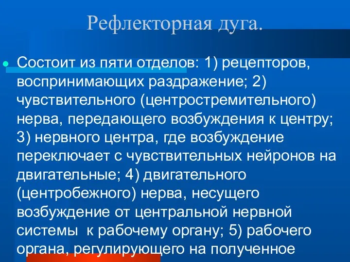 Рефлекторная дуга. Состоит из пяти отделов: 1) рецепторов, воспринимающих раздражение; 2)