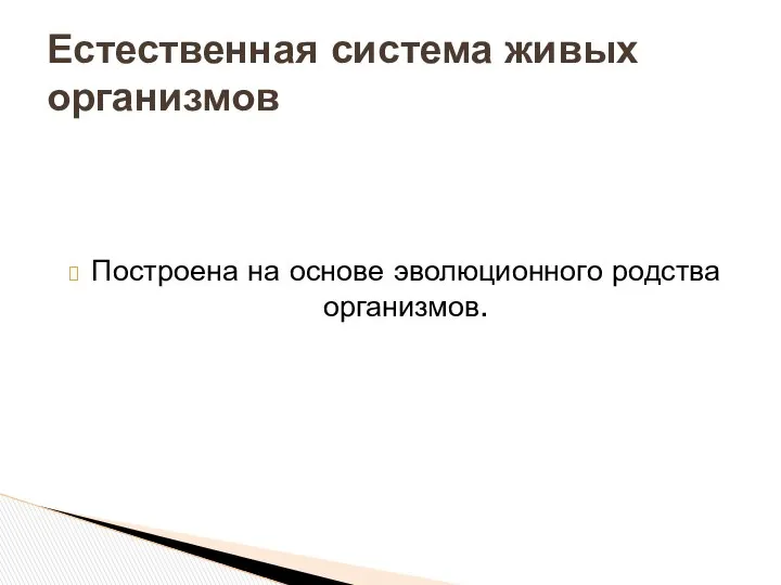 Построена на основе эволюционного родства организмов. Естественная система живых организмов