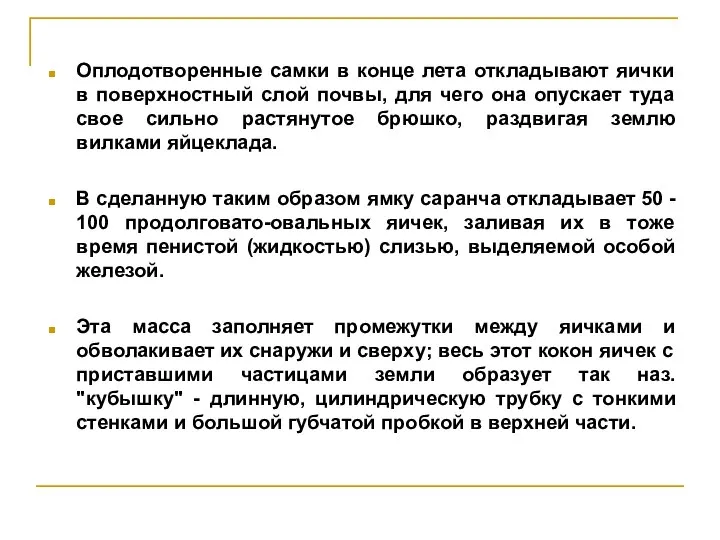 Оплодотворенные самки в конце лета откладывают яички в поверхностный слой почвы,