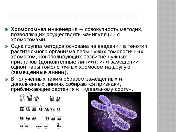 Хромосомная инженерия Хромосомная инженерия — совокупность методик, позволяющих осуществлять манипуляции с