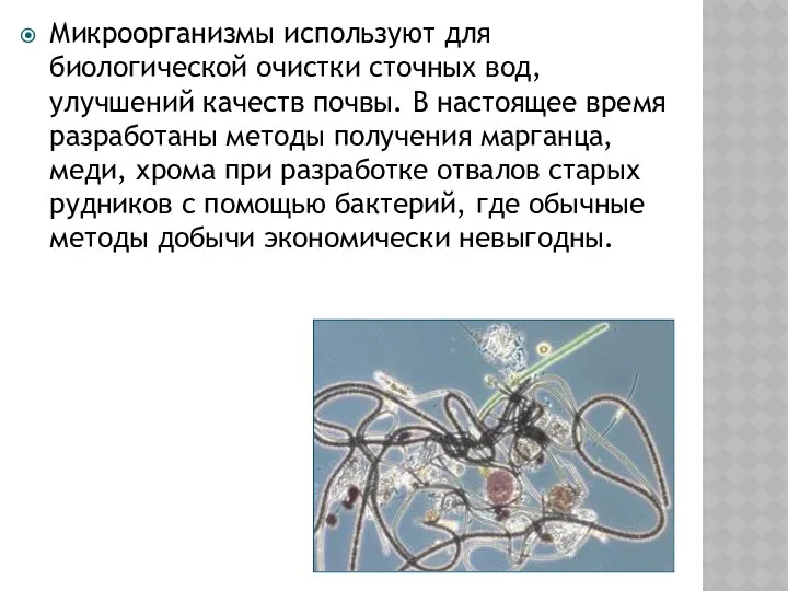 Микроорганизмы используют для биологической очистки сточных вод, улучшений качеств почвы. В