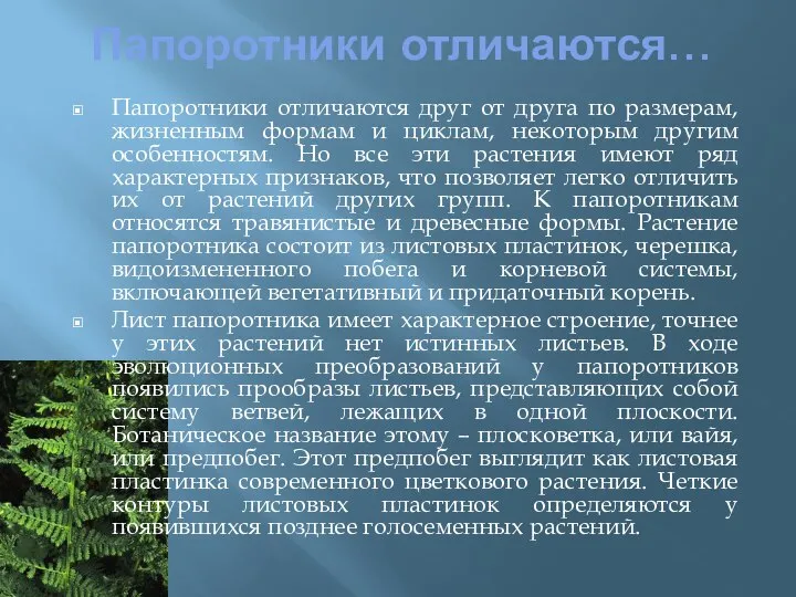 Папоротники отличаются… Папоротники отличаются друг от друга по размерам, жизненным формам