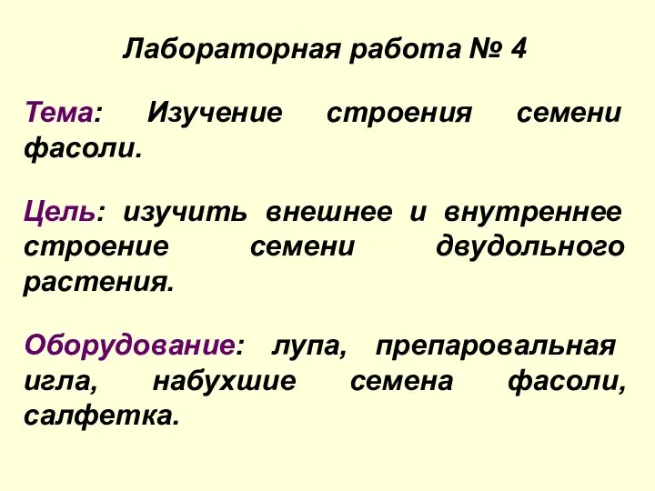 Лабораторная работа № 4 Тема: Изучение строения семени фасоли. Цель: изучить