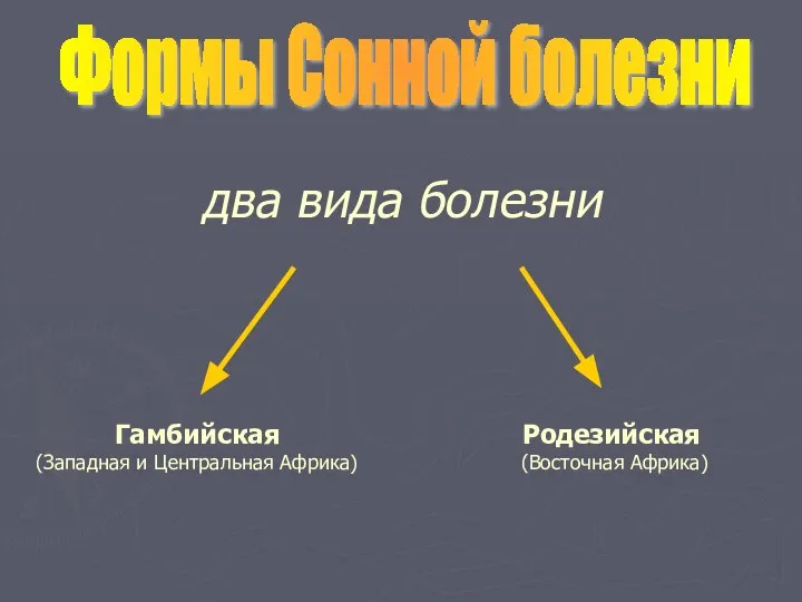 два вида болезни Формы Сонной болезни Гамбийская (Западная и Центральная Африка) Родезийская (Восточная Африка)