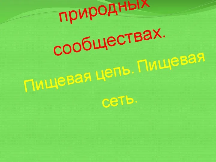 Группы живых организмов в природных сообществах. Пищевая цепь. Пищевая сеть.