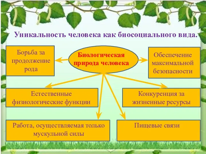 Уникальность человека как биосоциального вида. Биологическая природа человека Естественные физиологические функции