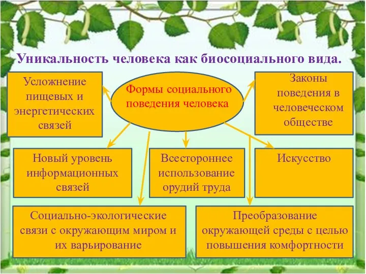 Уникальность человека как биосоциального вида. Формы социального поведения человека Преобразование окружающей