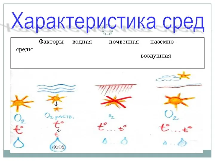 Характеристика сред Факторы водная почвенная наземно- среды воздушная