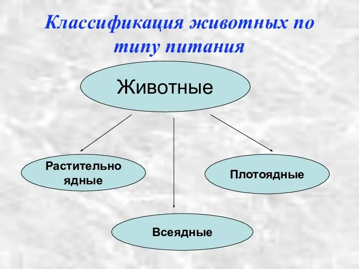 Классификация животных по типу питания Животные Растительноядные Плотоядные Всеядные