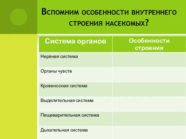 Вспомним особенности внутреннего строения насекомых?