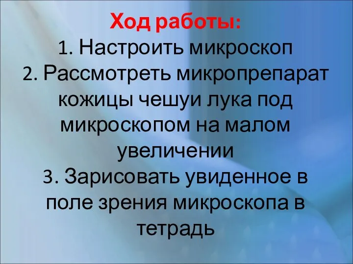 Ход работы: 1. Настроить микроскоп 2. Рассмотреть микропрепарат кожицы чешуи лука