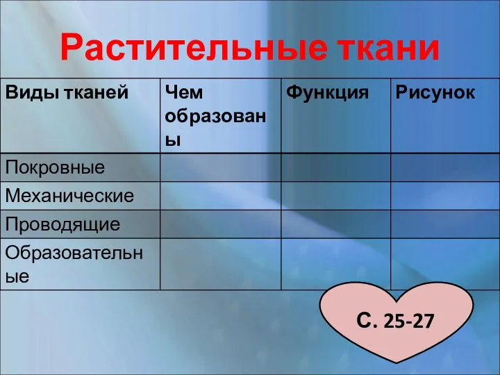 Растительные ткани С. 25-27