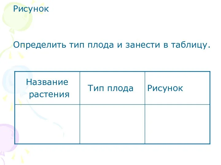 Рисунок Определить тип плода и занести в таблицу.