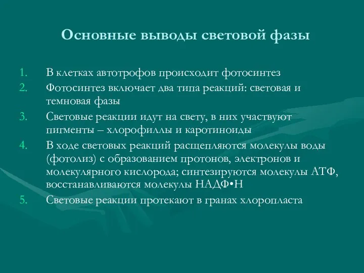 Основные выводы световой фазы В клетках автотрофов происходит фотосинтез Фотосинтез включает