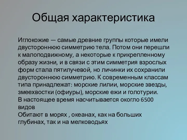 Общая характеристика Иглокожие — самые древние группы которые имели двустороннюю симметрию