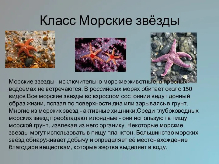 Класс Морские звёзды Морские звезды - исключительно морские животные, в пресных