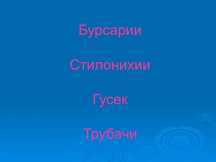 Бурсарии Стилонихии Гусек Трубачи